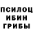 Псилоцибиновые грибы ЛСД Alla Maksim