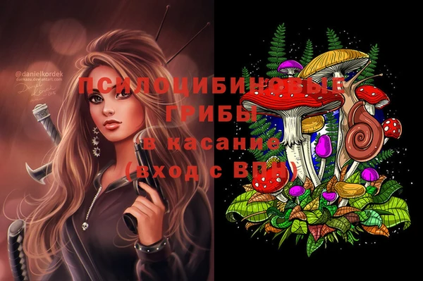 трава Надым