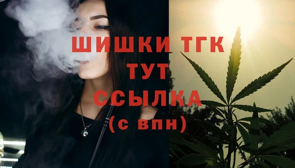стаф Михайловск