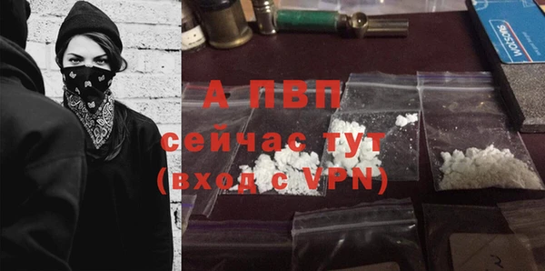 трава Надым