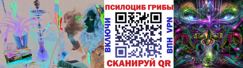 shop телеграм  где продают наркотики  Знаменск  Галлюциногенные грибы мицелий 