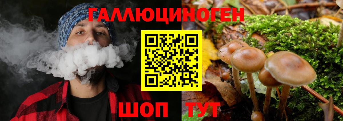 Знаменск  Галлюциногенные грибы MAGIC MUSHROOMS  Вход с VPN 